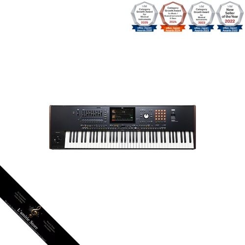 Korg professional arranger - professional,