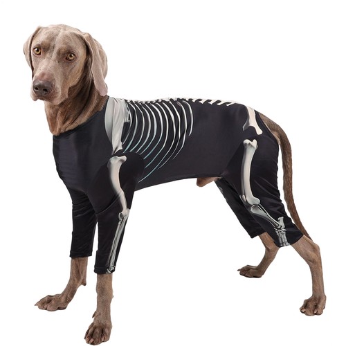 Halloween costume for - halloween,
