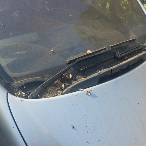 Citroen xsara picasso - xsara,