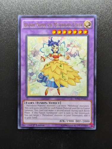 Bloom prima the melodious - bloom,