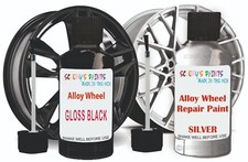 Citroen Gloss Black Or Silver