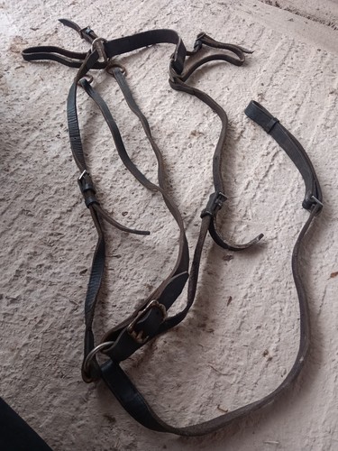 Hunting breastplate w - hunting, c/w