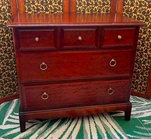 Stag minstrel mahogany - mahogany, chest