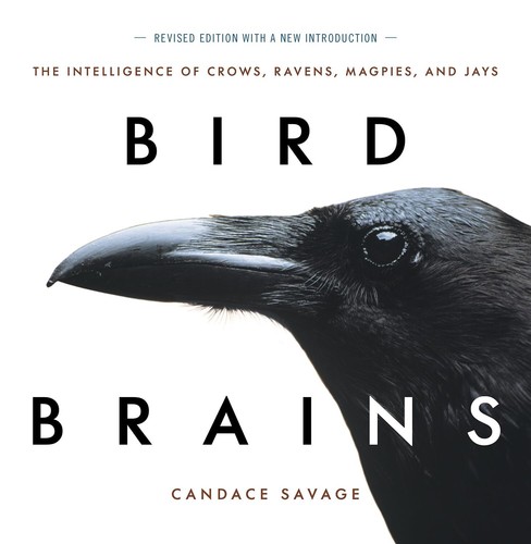 Bird brains the intelligence - the,