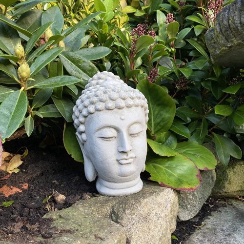 Buddha head garden - head, statue