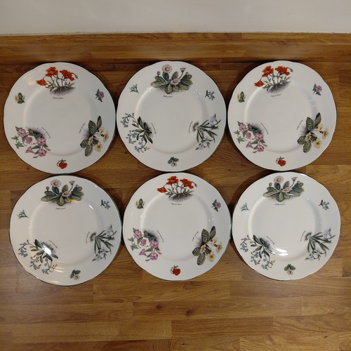 Astbury set tea cake - tea, /