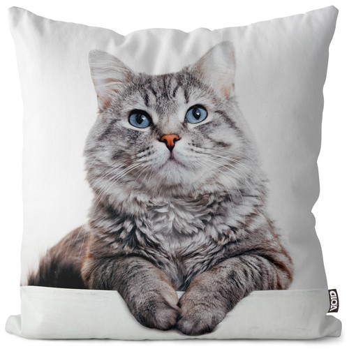 Grey cat tiger - tiger, cover