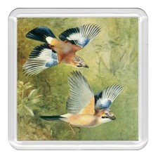 The Jay Bird Lovely Acrylic