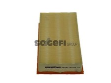 COOPERS Air Filter for LDV