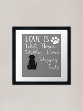 Black Labrador Retriever Love