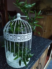Decorative birdcage lantern - decorative,