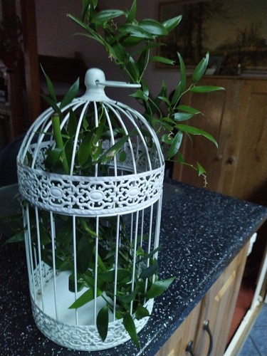 Decorative birdcage lantern - decorative,