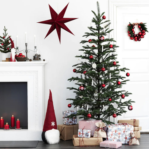Pine fir christmas tree - pine,