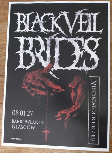 Black veil brides concert - veil,