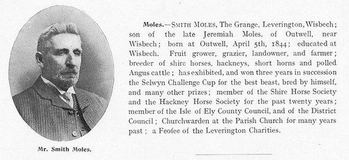 Smith moles the grange - smith,