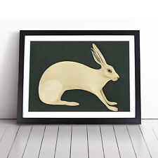 Hare Vintage Art Framed Canvas