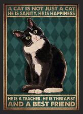 A Cat Is Not Just A Cat Metal Sign Gift Animal Humour Kitchen Vintage Retro Gift