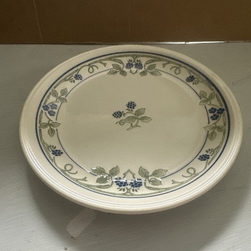 Staffordshire tableware blue - tableware,