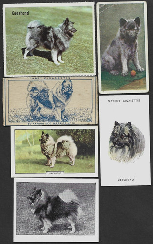 Different vintage keeshond - different,