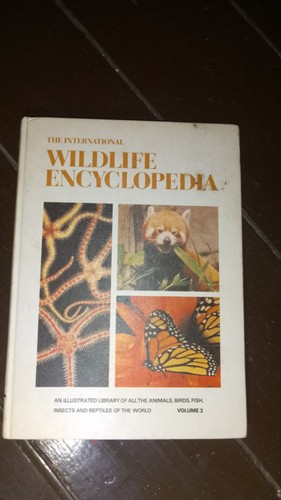 The international wildlife - international,