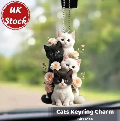 Adorable cats kitten - adorable,