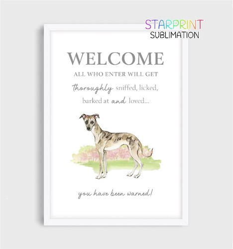 Whippet unframed - whippet, a4