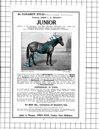 Major holliday junior - holliday,