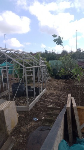 Green house glass 24 by - house,