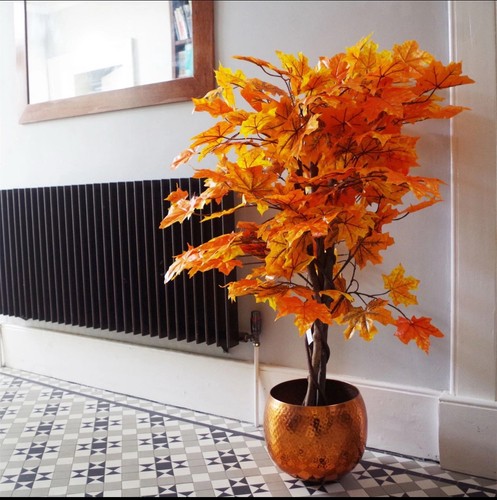 125cm orange maple acer - orange,