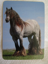 HORSE SWAP CARD~MODERN