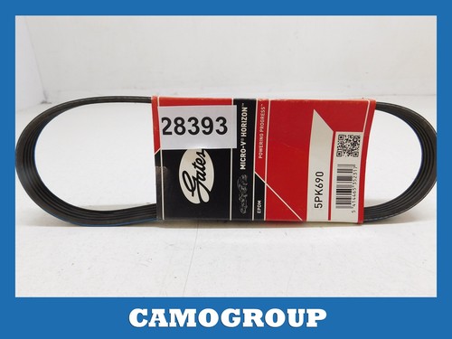 Ribbed belt gates - gates, citroen