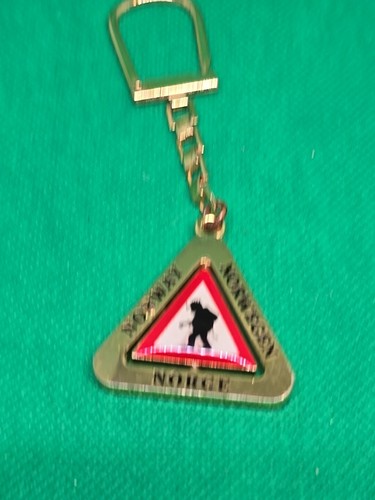 Keyring key ring - keyring, vintage