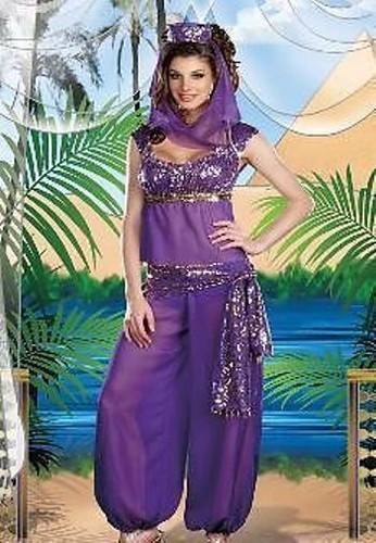Womens belly dancer costume - womens,