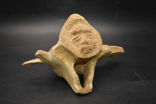 Superb inuit whale - whale, vertebra