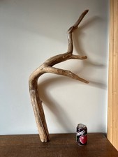 Driftwood Piece best, golder branch smooth Bogwood  for  vivarium, or Display