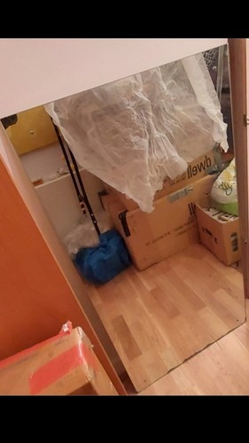 Wall mirror 62cm 120cm - wall,