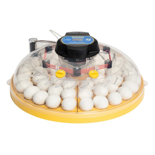 Brinsea maxi incubator - brinsea,