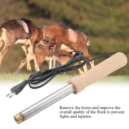 Electric calf dehorner - calf, iron