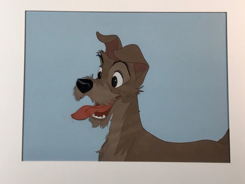 Lady and the tramp - tramp, disneyland