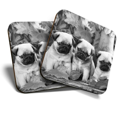 Coasters pug - 2,