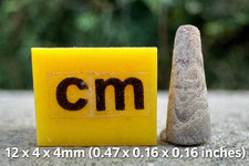 Belemnite Fossil Hibolites