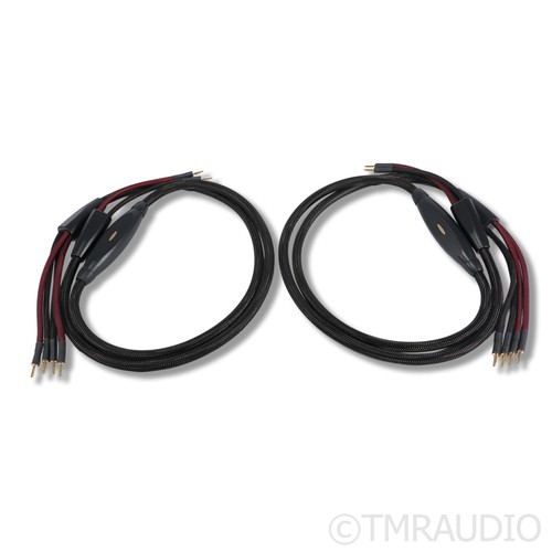 Transparent audio plus gen - plus,