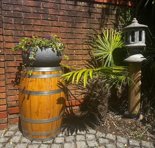 Chestnut barrel wine - chestnut,