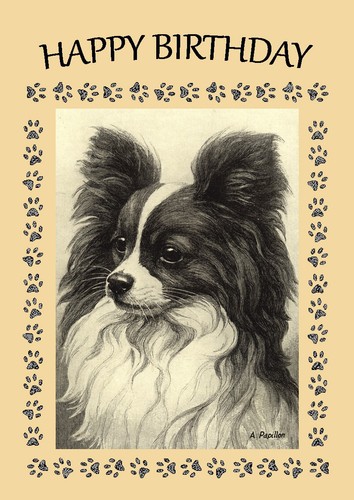 Papillon dog birthday card - birthday,