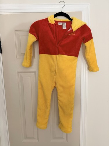 Disney winnie the pooh costume - the,