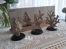 Next set of 3 Sealife