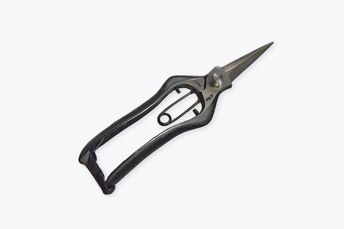 Tobisho pruning shears - pruning,