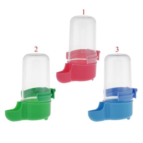 Bird automatic feeder - bird,