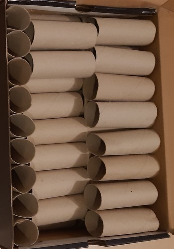 Empty toilet rolls - empty, rolls/tubes