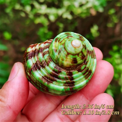 6cm small natural green - 4.5-6cm,